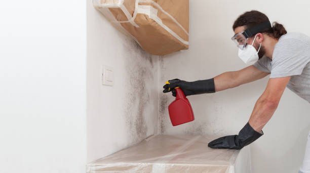 Professional Mold Removal technician working in Crapo, MD